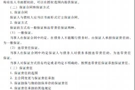 郑博士过年讨债：揭秘民间借贷中的法律风险与应对策略